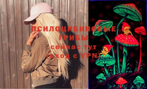 гашик Алексеевка
