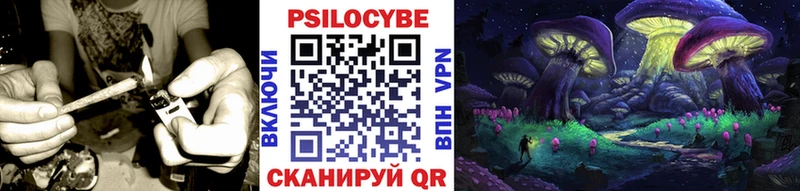 магазин продажи наркотиков Мантурово Псилоцибиновые грибы Cubensis