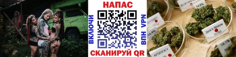 Бошки марихуана ГИДРОПОН  Мантурово 
